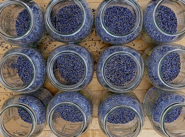 Lavender Infused Honey