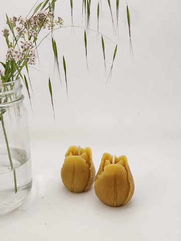 Tiny Tulips