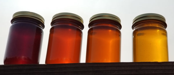 Starthistle Honey