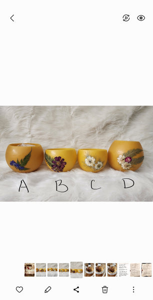 Beeswax Luminaries